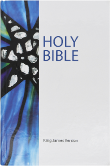 the Bible hardcover with tabs